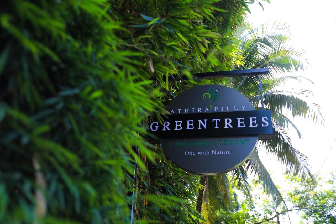 Athirapally Green Trees Athirappilly Luaran gambar