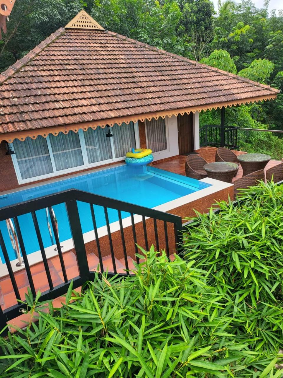 Athirapally Green Trees Athirappilly Luaran gambar