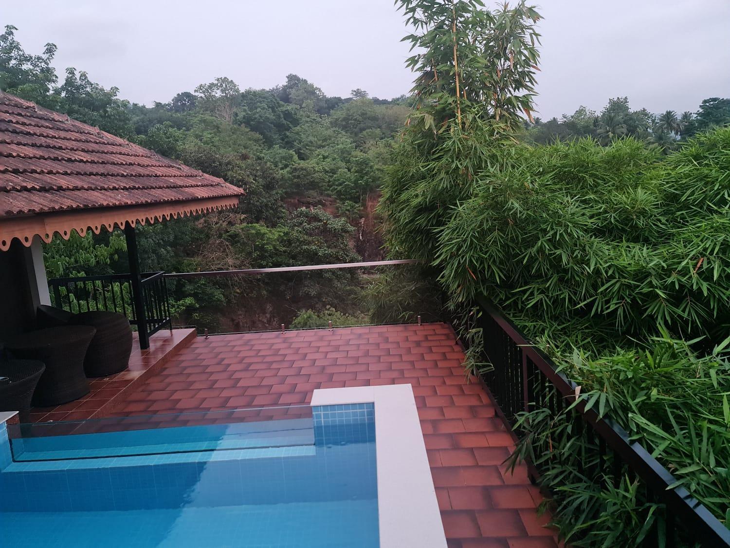 Athirapally Green Trees Athirappilly Luaran gambar