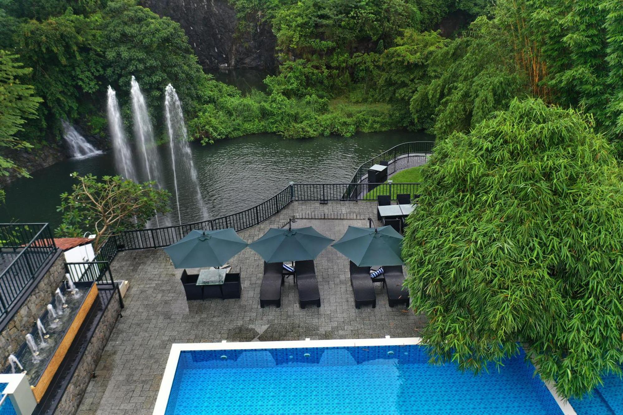 Athirapally Green Trees Athirappilly Luaran gambar