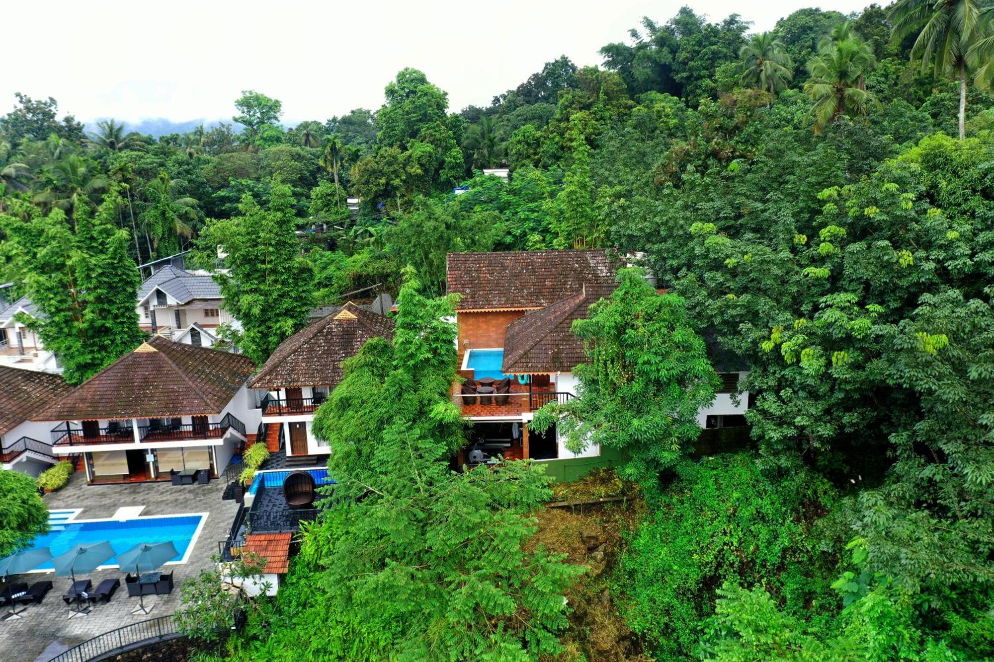 Athirapally Green Trees Athirappilly Luaran gambar