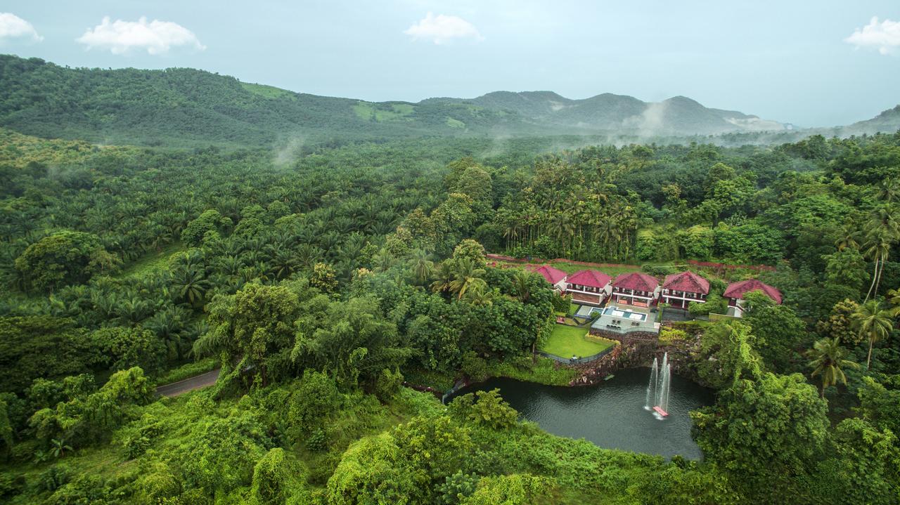 Athirapally Green Trees Athirappilly Luaran gambar